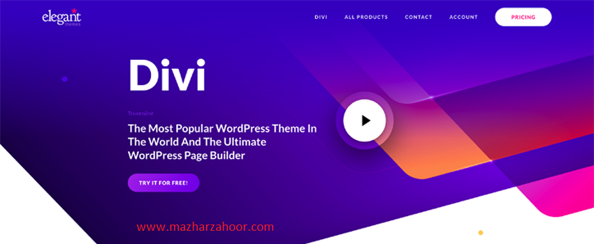 divi theme